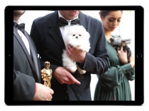 FouFou Puppies Web Design at the Oscars