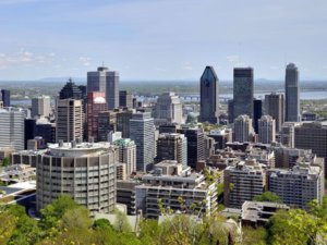 Find SEO expert Montreal