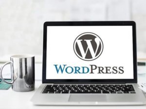 wordpress custom website