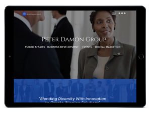 Peter Damon Group Web Design