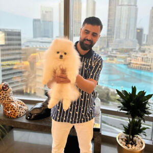Picture of web design client FouFou Puppies.