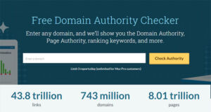 A screenshot of Moz domain checker.