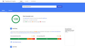 A screenshot of Google Page Speed Insights.