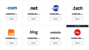 A picture of various domain extensions.