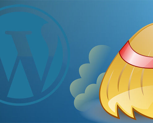 A picture of a WordPress logo and a broom representing clean the cache.