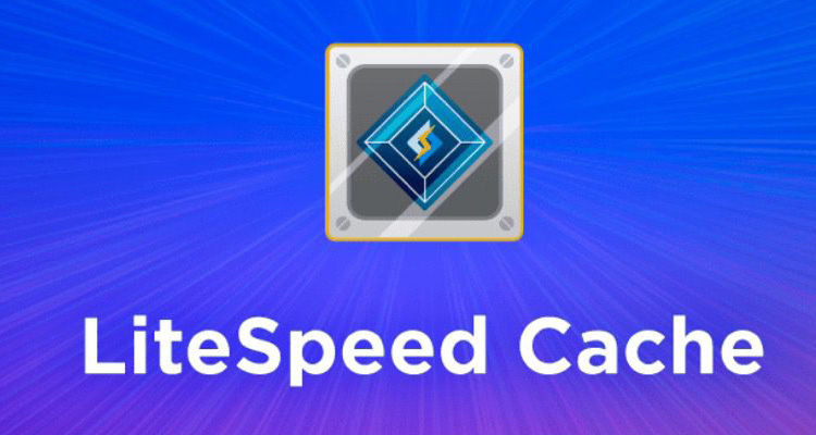A picture of LiteSpeed Cache.