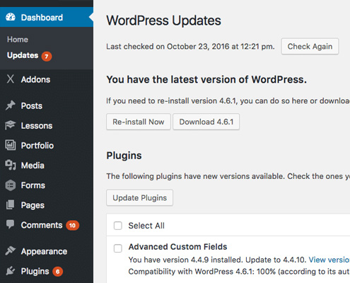 A screenshot showing WordPress updates.