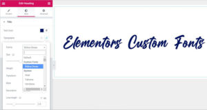 An image showing Elementor's font editor.
